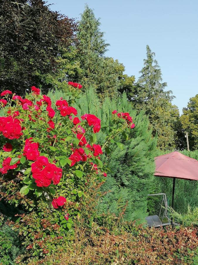 Le Domaine De Shania Provencheres-sur-Fave Bagian luar foto